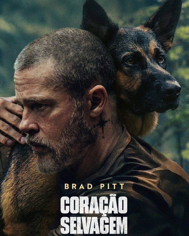 Pôster de Coração Selvagem
